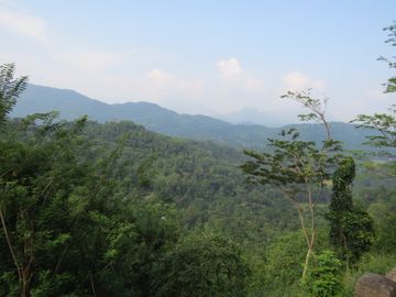 IMG_6187