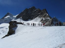 IMG_6609