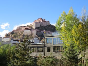 IMG_6652