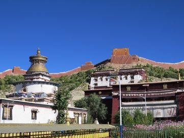 IMG_6726