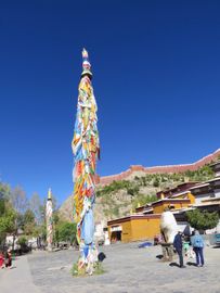 IMG_6773T