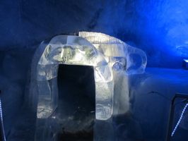 IMG_6846