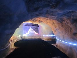 IMG_6867