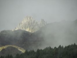 IMG_7026