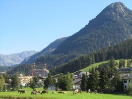 IMG_7104