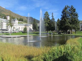 IMG_7105
