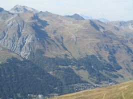 IMG_7240