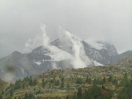 IMG_7318