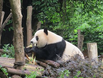 IMG_7402t