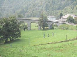 IMG_7410