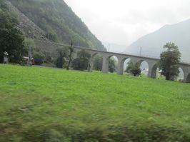 IMG_7417