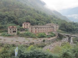 IMG_7426