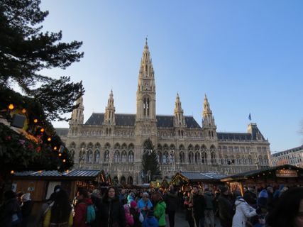 IMG_7529