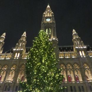 IMG_7598