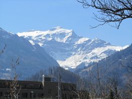 IMG_8753