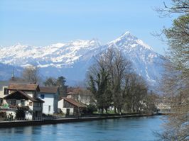 IMG_8758