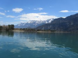 IMG_8778