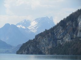 IMG_8790