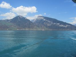 IMG_8800