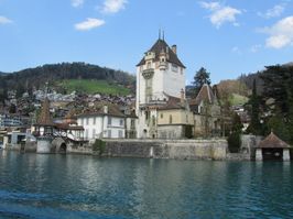 IMG_8817