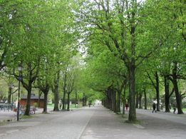 IMG_8873