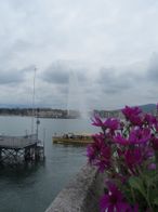 IMG_8910