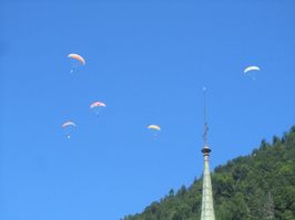 IMG_9987