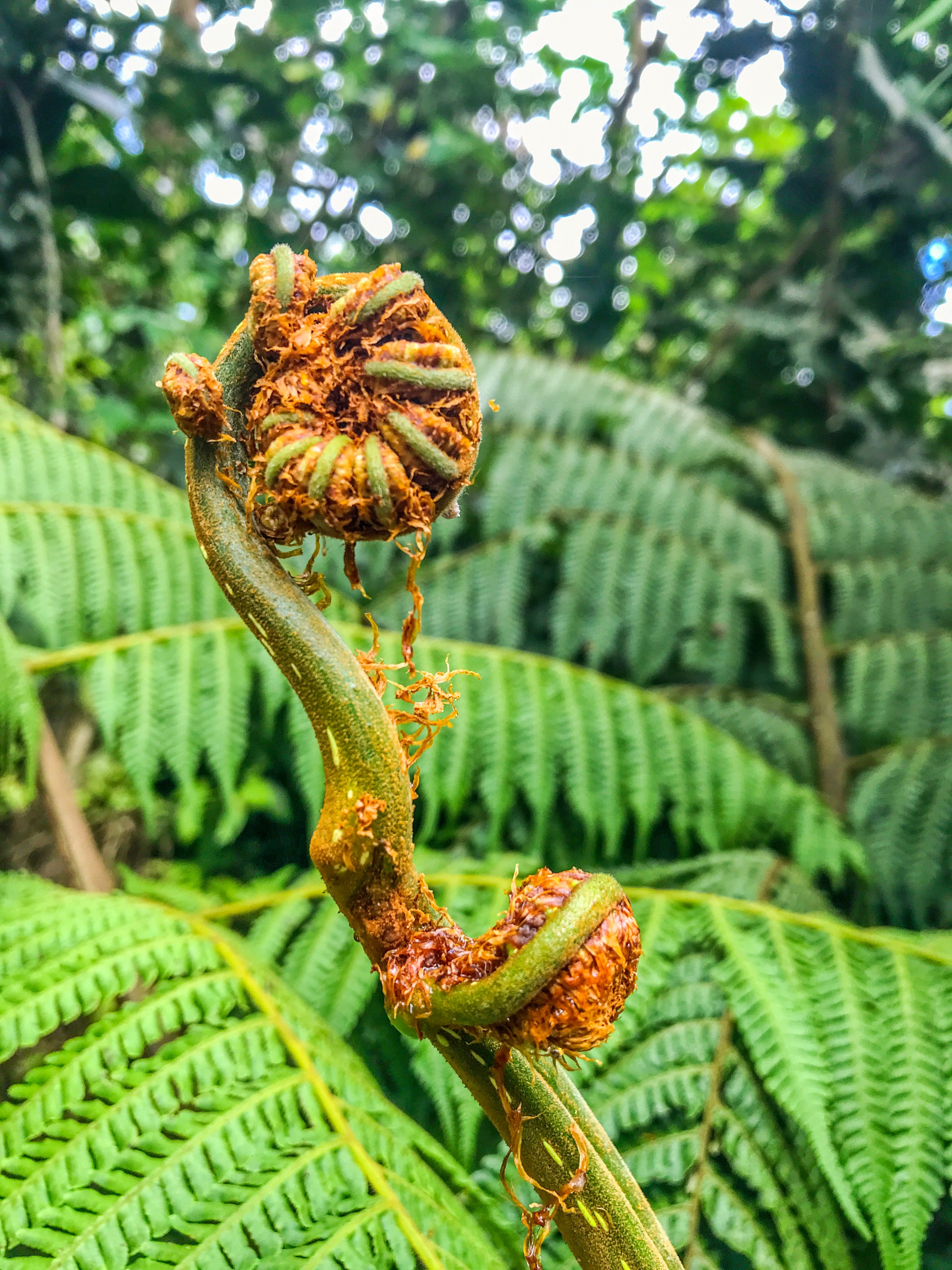 Naturaleza Costa Rica