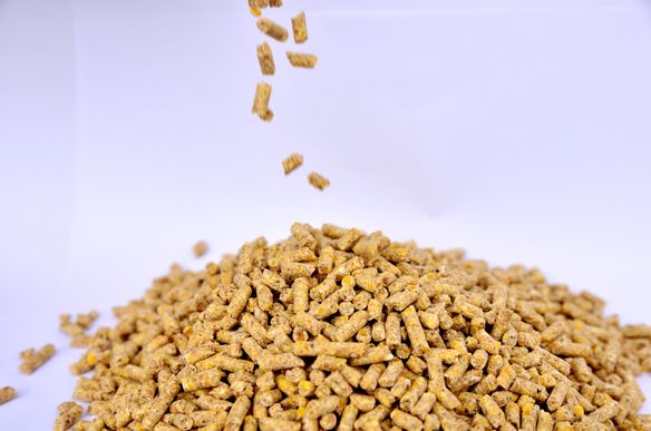 Pelletized Poultry Feed