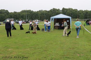 IMG_4337
