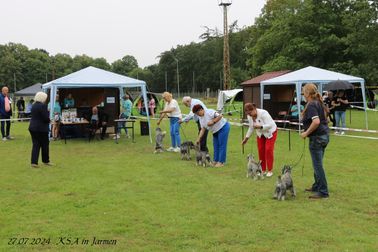IMG_4359