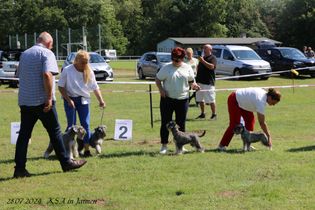 IMG_4386