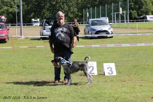 IMG_4410