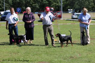 IMG_4420