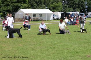 IMG_4456