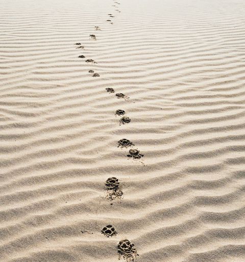 Afbeelding zonder ALT