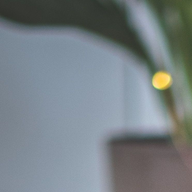 unsplash_fJ8XR7gIDGo