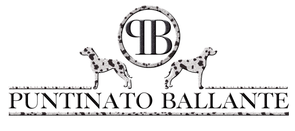 Puntinato Ballante Dalmatians