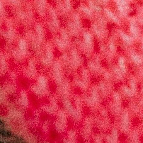 unsplash_Zyx1bK9mqmA