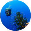 PuurDuiken OpenWater