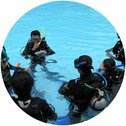 Padi assistant instructor Padi assistant instructor