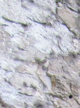 De bron van de Sorgue in Fontaine de Vaucluse
