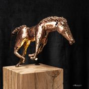 Peter Wattyn - 12.24-6