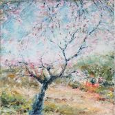 100x100cm_2017_Forever_Spring_Old-Almond-Tree-in-Alhama