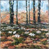 40x40cm_2021_Hello-Spring_Anemones-in-May