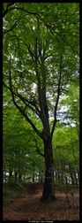 IMG20250529120159-v1-web