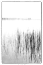 IMG_0902-1-web