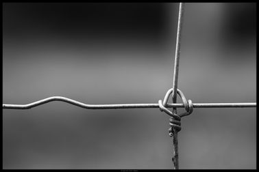 IMG_1317-border-web