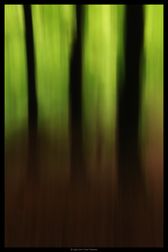 IMG_1351-border-web
