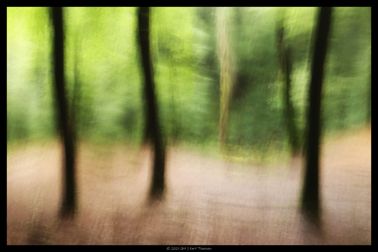 IMG_1360-border-web